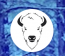 White Buffalo Marketing logo